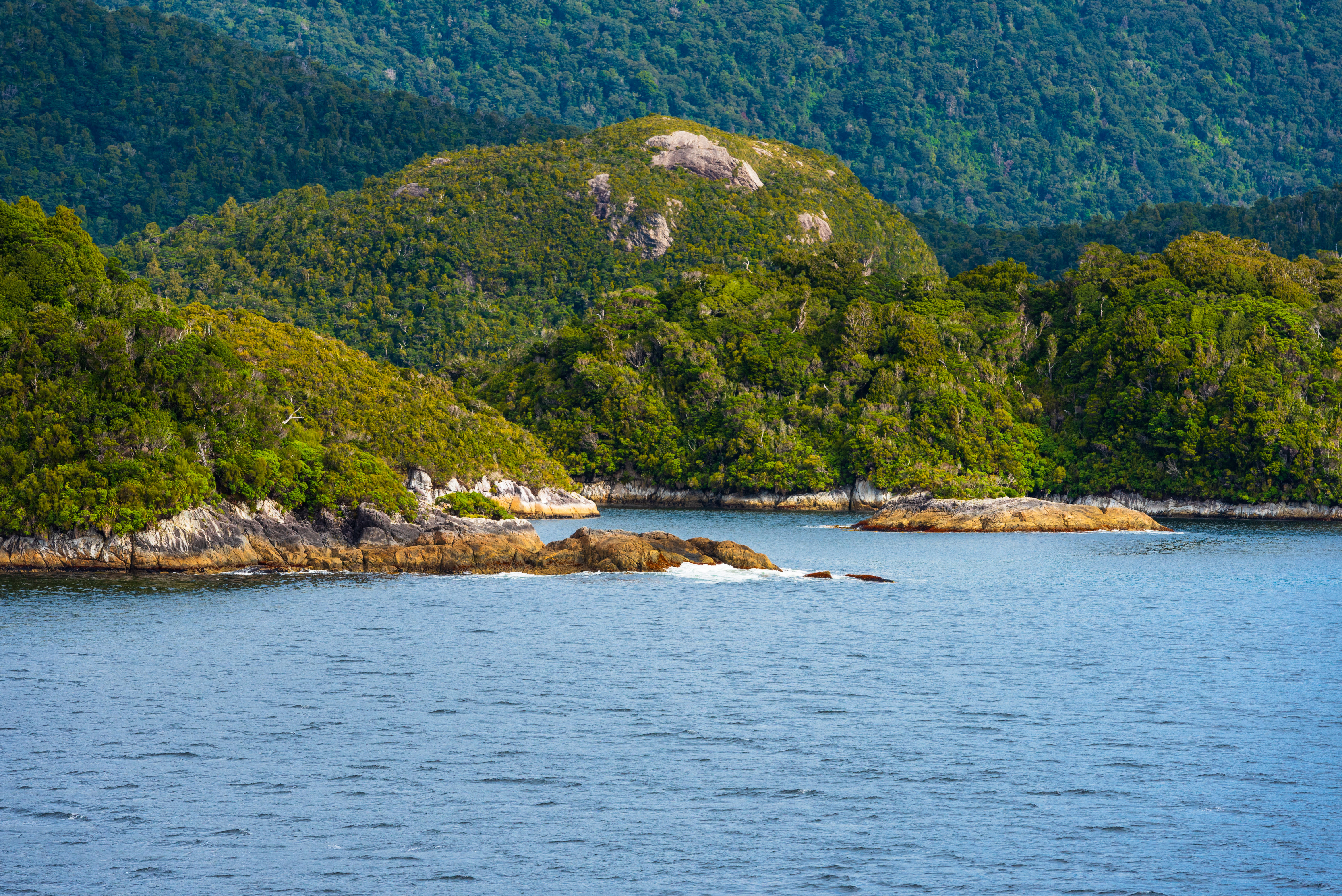 Dusky Sound (Nieuw-Zeeland) - Foto 1